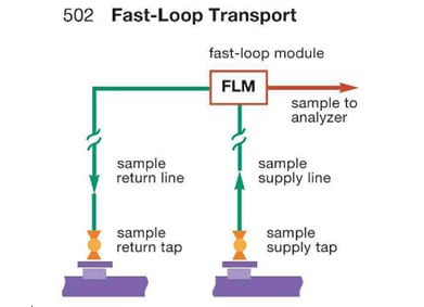 Fast-Loop-Modul in einem Fast-Loop-Transportsystem